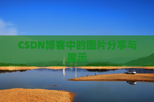 CSDN博客中的图片分享与展示